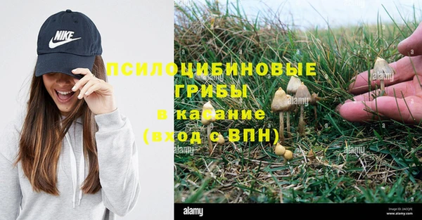 марки lsd Белокуриха