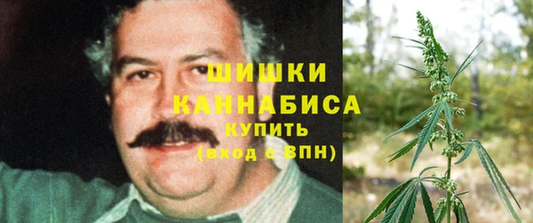 марки lsd Белокуриха